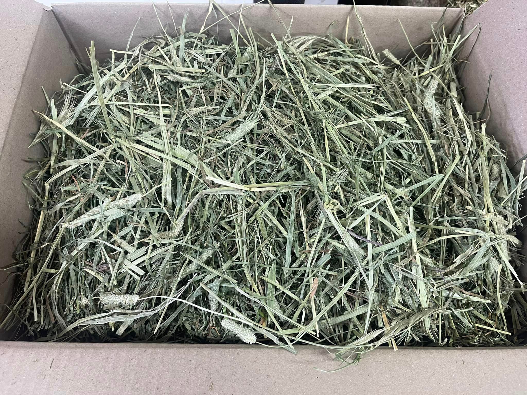 7. Timothy Hay - Auckland delivery only | The Bunny Bach